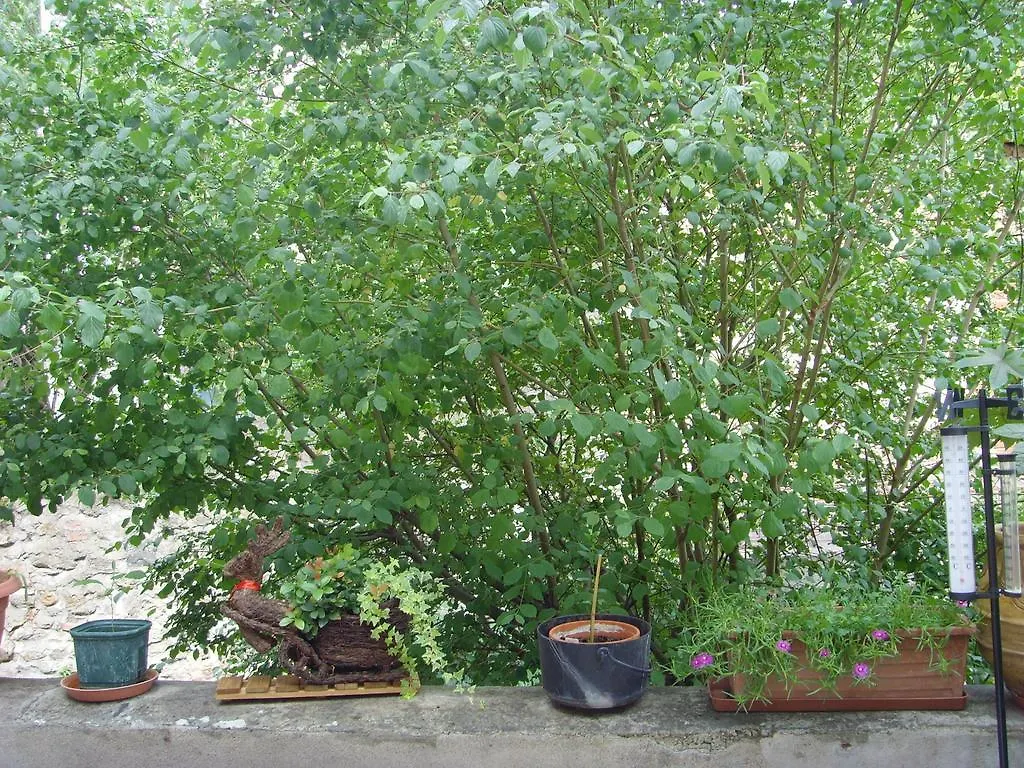 Les Aubettes Apartment Jumeaux